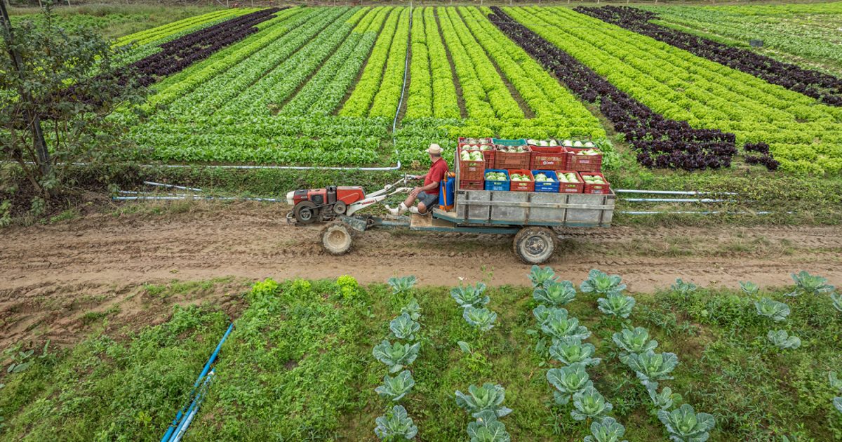 Governo de Santa Catarina amplia o acesso dos produtores rurais a créditos de ICMS, buscando facilitar o aproveitamento de benefícios fiscais e fortalecer a atividade agropecuária no estado