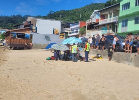 SCTODODIA
