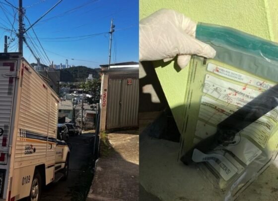 SCTODODIA