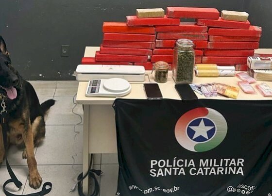 SCTODODIA