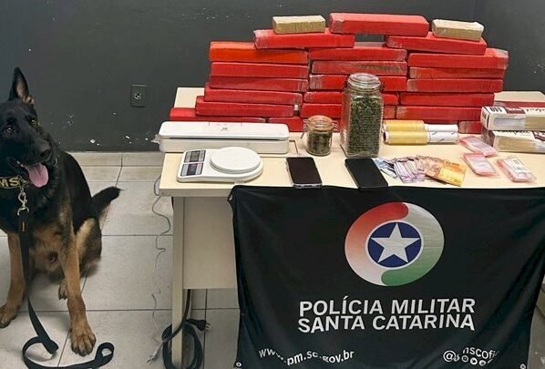 SCTODODIA