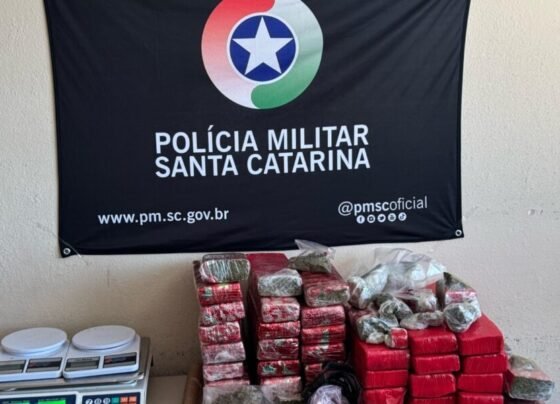SCTODODIA