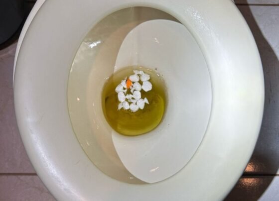SCTODODIA