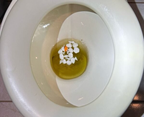 SCTODODIA