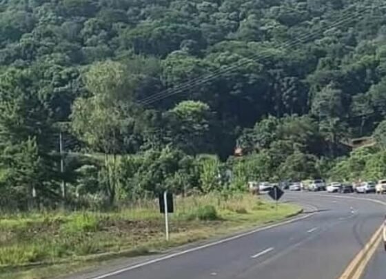 SCTODODIA