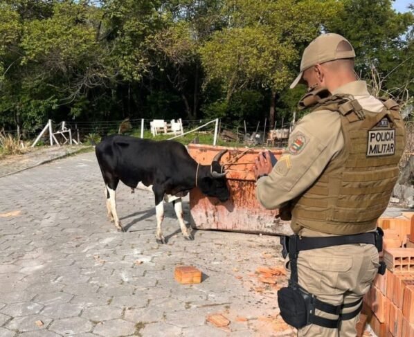 SCTODODIA