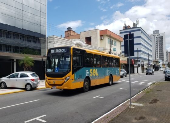 SCTODODIA