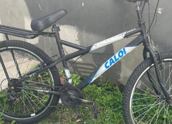 SCTODODIA