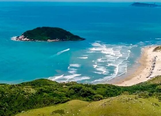 SCTODODIA
