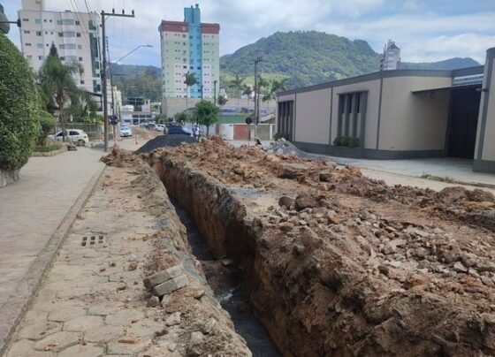 SCTODODIA