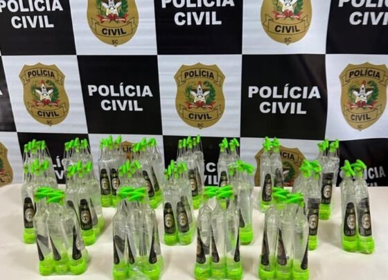 Rádio Cidade FM Foz Itajaí – 91.7
