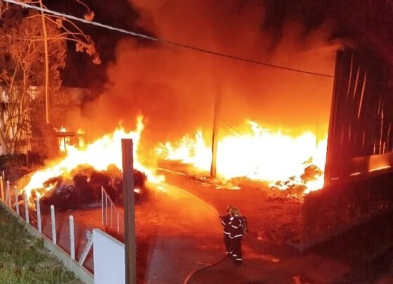 Rádio Cidade FM Foz Itajaí – 91.7