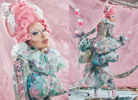 Crédito: @gabriela_schmhdt