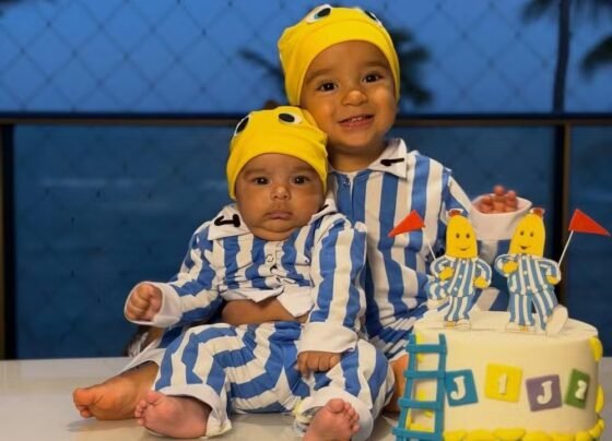 Reprodução / @arymirelle