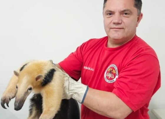 Rádio Cidade FM Foz Itajaí – 91.7