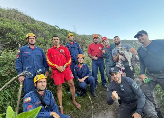 Rádio Cidade FM Foz Itajaí – 91.7