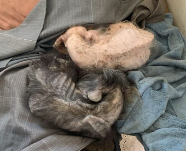 Rádio Cidade FM Foz Itajaí – 91.7