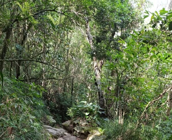 Rádio Cidade FM Foz Itajaí – 91.7