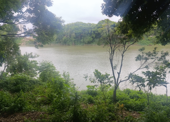 Rádio Cidade FM Foz Itajaí – 91.7