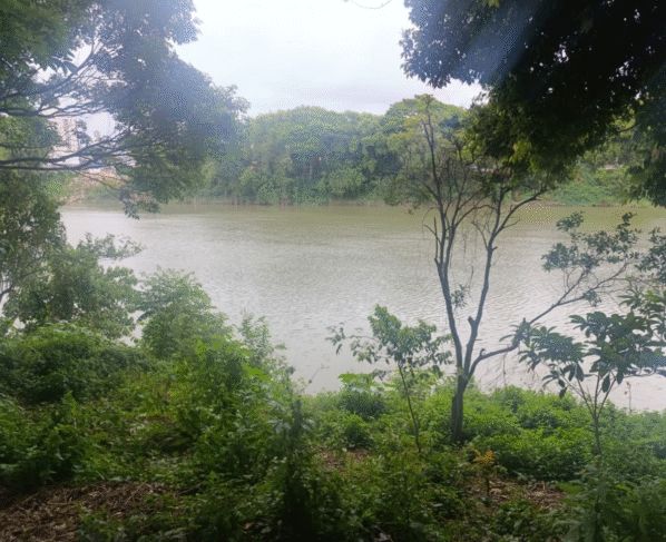 Rádio Cidade FM Foz Itajaí – 91.7