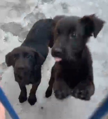 Incêndio em fábrica deixa dois trabalhadores feridos em São José