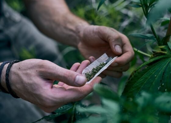 Rádio Cidade FM Foz Itajaí – 91.7