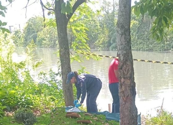 Rádio Cidade FM Foz Itajaí – 91.7