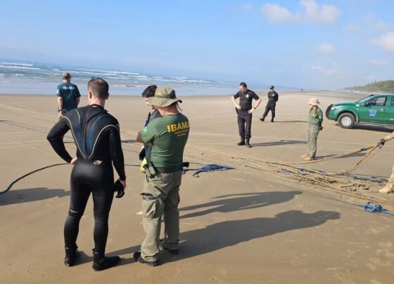 Rádio Cidade FM Foz Itajaí – 91.7