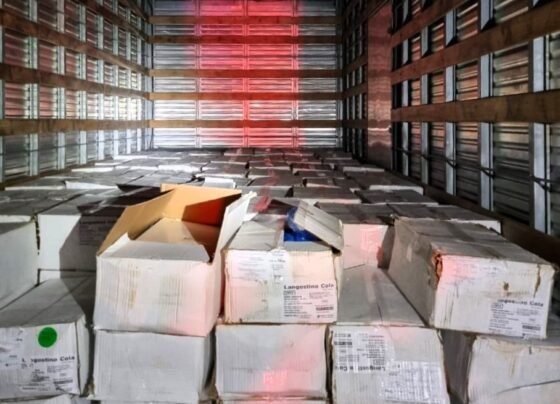 Rádio Cidade FM Foz Itajaí – 91.7