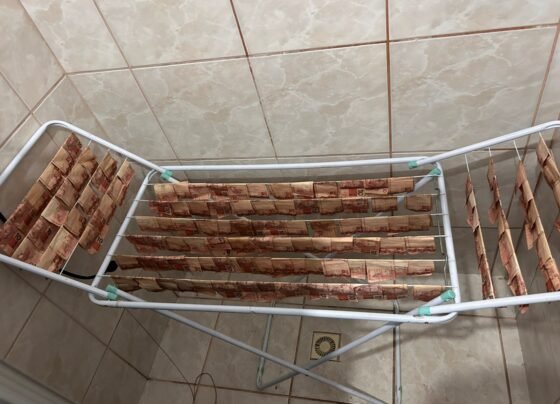 Rádio Cidade FM Foz Itajaí – 91.7