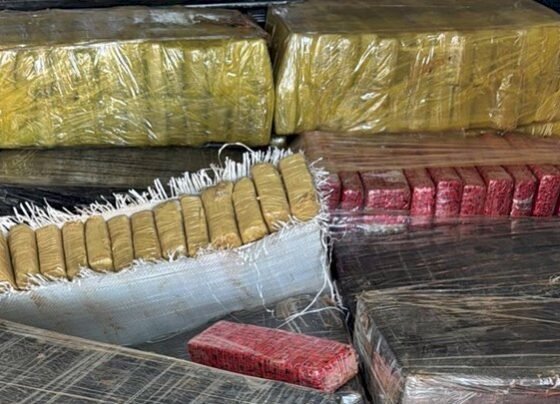 Rádio Cidade FM Foz Itajaí – 91.7