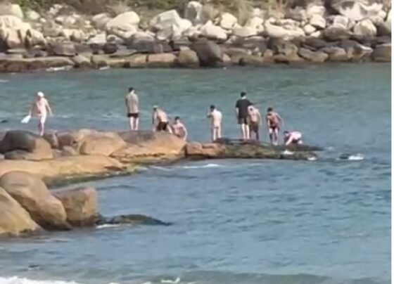 Rádio Cidade FM Foz Itajaí – 91.7