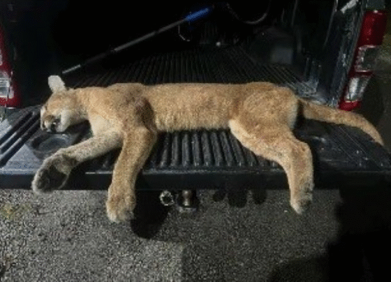 Rádio Cidade FM Foz Itajaí – 91.7