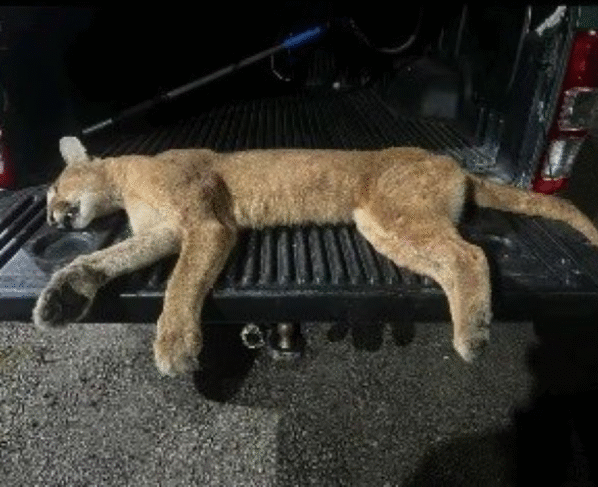 Rádio Cidade FM Foz Itajaí – 91.7