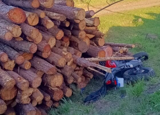 Rádio Cidade FM Foz Itajaí – 91.7