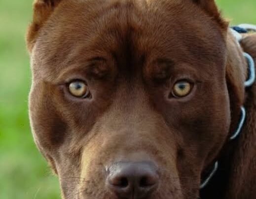 Rádio Cidade FM Foz Itajaí – 91.7