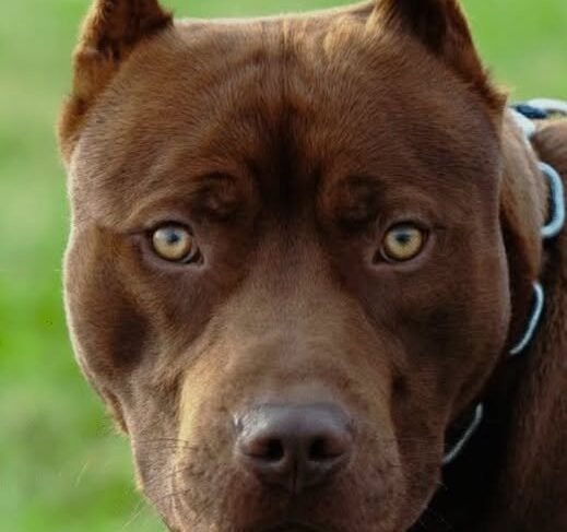 Rádio Cidade FM Foz Itajaí – 91.7