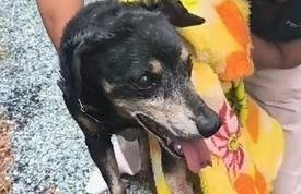 Rádio Cidade FM Foz Itajaí – 91.7