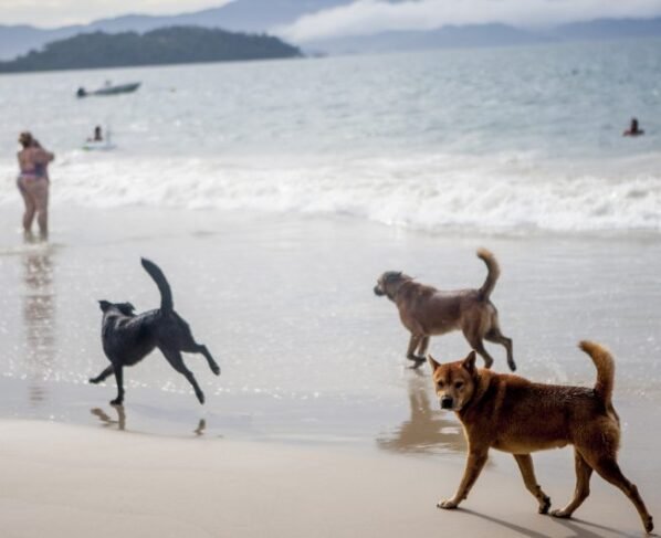 Rádio Cidade FM Foz Itajaí – 91.7