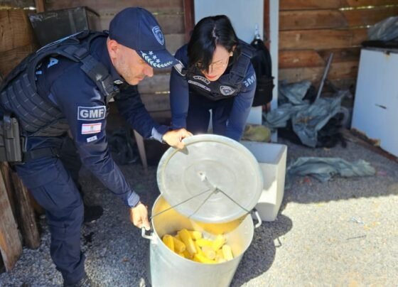 Rádio Cidade FM Foz Itajaí – 91.7