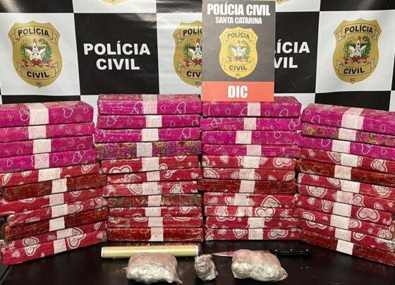 Rádio Cidade FM Foz Itajaí – 91.7