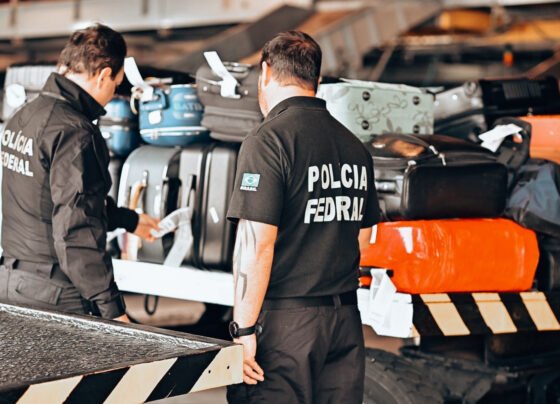 Balneário Gaivota intensifica ações contra abandono de animais