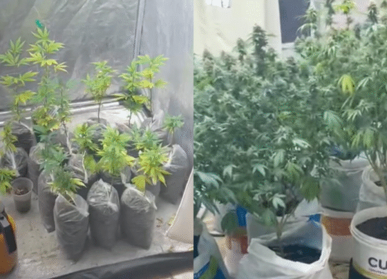 Rádio Cidade FM Foz Itajaí – 91.7