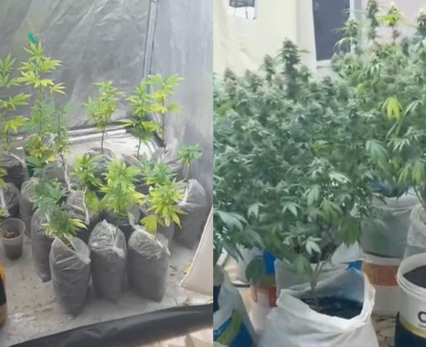 Rádio Cidade FM Foz Itajaí – 91.7