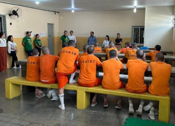 ONG denuncia mortes de cães e cobra investigação sobre maus-tratos em Meleiro