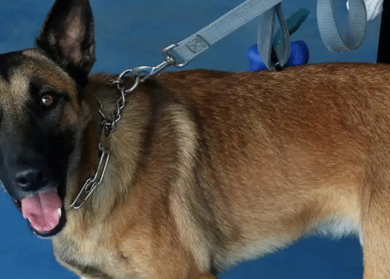 Rádio Cidade FM Foz Itajaí – 91.7