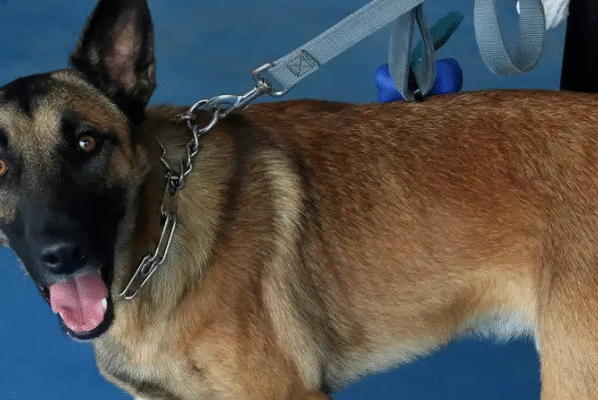 Rádio Cidade FM Foz Itajaí – 91.7