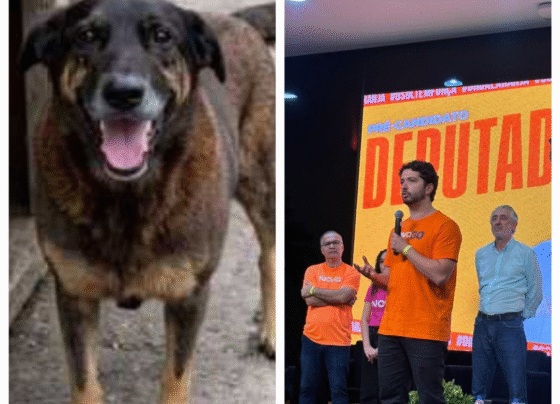 Rádio Cidade FM Foz Itajaí – 91.7