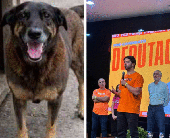 Rádio Cidade FM Foz Itajaí – 91.7