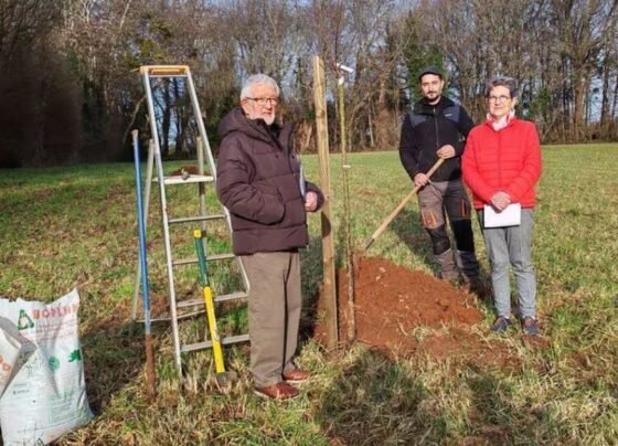 ComScore analytics tracking pixel